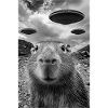 Funny Capybara Selfie UFOs Alien