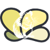 mouse rodent