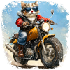 Chats Motards / Moto Chat