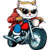Chats Motards / Moto Chat