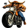 Taureaux Moto / Motard Taureau
