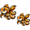 goldfish