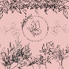 butterfly1