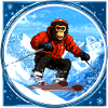 Singe de ski