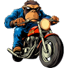 Motorradfahrer Affe