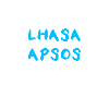 Lhassa Apso
