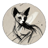 Sphynx portrait Kira