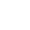 100 RÂLEUR PROFESSIONNEL