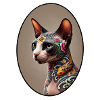 Chat Sphynx Tatoué