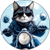 Katze Motorradfahrer