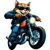Chats Moto / Motard Chat