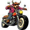 Stiere Motorrad