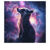 Nasenbär