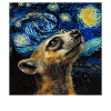 Nasenbär