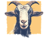 Chèvres chèvre