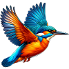 Kingfisher