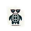Chill Toad Turtle