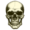 Skull skull