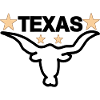 Texas star usa america