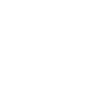 Memento Mori skull