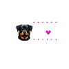 I love my Rottweiler