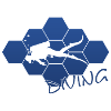 Diving