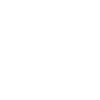 Standard Schnauzer