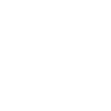 Bolognese Bolognese Dog Owners