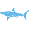 shark