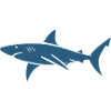 shark