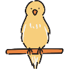 Melodic Canary