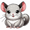 chinchilla