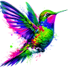 Colibri