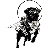 Space pug dog