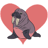Walrus Sea Animals Manatee