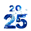 2025