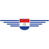 Paraguay Fan T-Shirt
