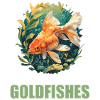 Goldfish Goldfish