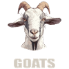 Chèvres chèvre