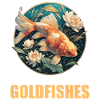 Goldfish Goldfish
