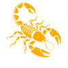 scorpion