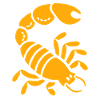 scorpion