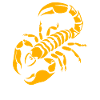 scorpion