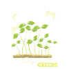 Microgreens Microgreen
