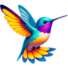 Hummingbird