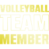 volleyball team