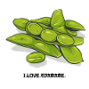 Edamame // Illustration
