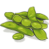 Edamame // Illustration