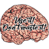 Brain // Illustration