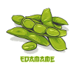 Edamame // Illustration